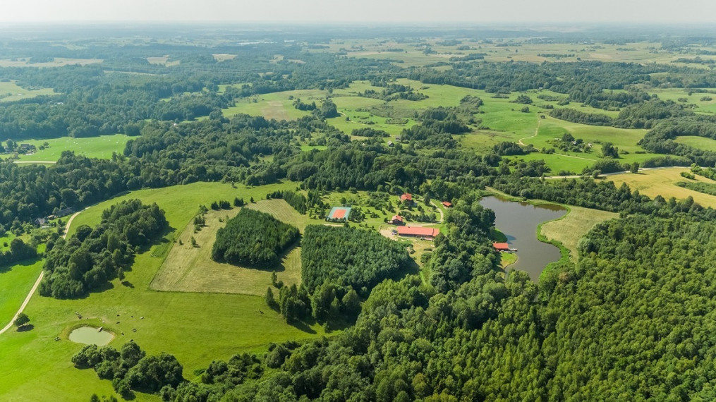 Parduodamas namas Stakliškių k., Prienų r. sav., 500 m2 ploto 33