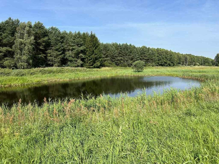 Parduodamas namas Šaulių k., Šalčininkų r. sav., 121.00 m² ploto 3 kambariai 16