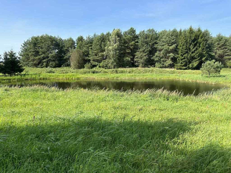 Parduodamas namas Šaulių k., Šalčininkų r. sav., 121.00 m² ploto 3 kambariai 17