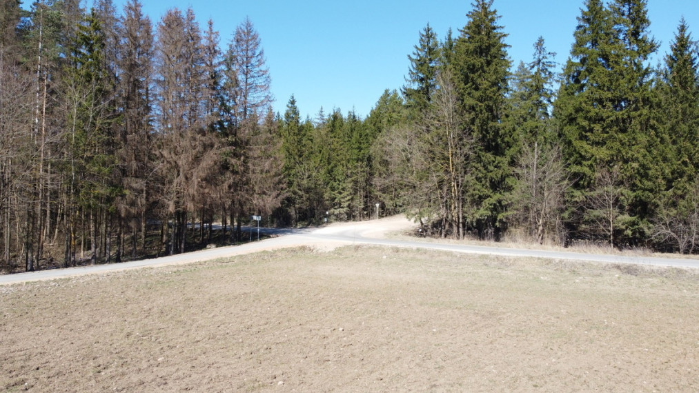 Parduodamas sklypas Česlovo Milošo g., Maskoliškių k., 126 a ploto 4