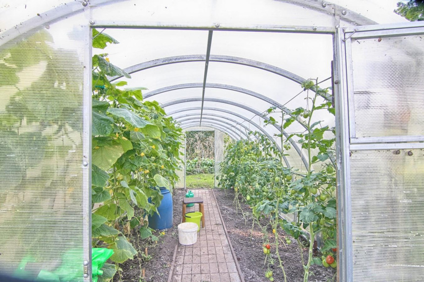 Parduodamas namas Luponių k., Šiaulių r. sav., 76.80 m² ploto 4 kambariai 30