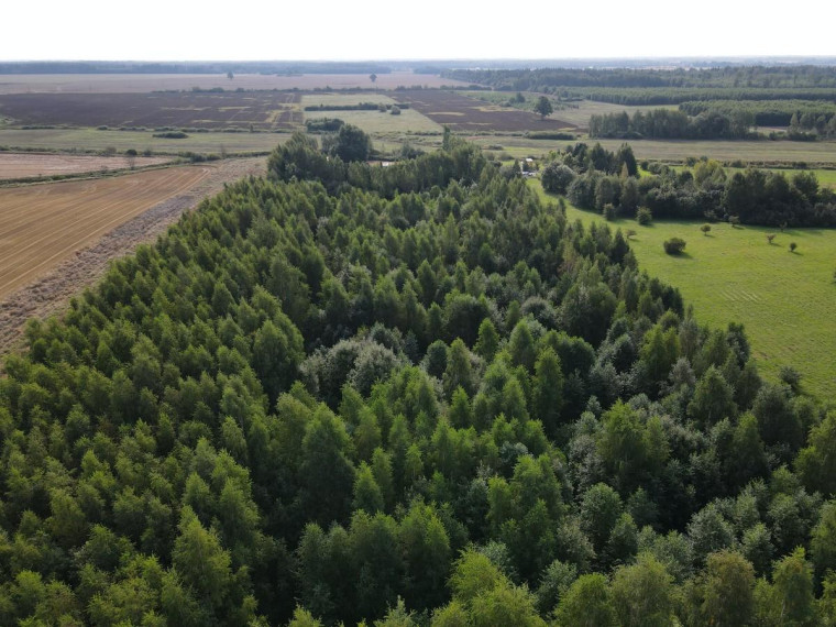 Parduodamas namas Luponių k., Šiaulių r. sav., 76.80 m² ploto 4 kambariai 36
