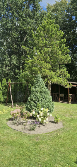 Parduodamas namas Ąžuolų tak., Gervėnupio k., Kauno r. sav., 43.07 m2 ploto, 1 aukštai 43
