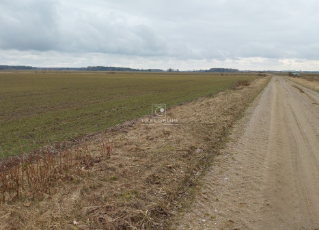 Parduodamas  sklypas Žagarų g., Agluonėnų k., Klaipėdos r. sav., 110 a ploto