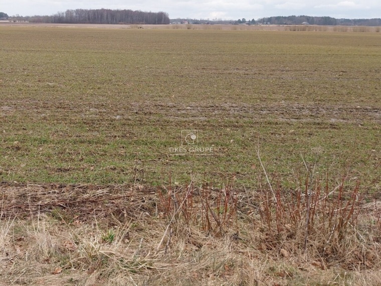 Parduodamas  sklypas Žagarų g., Agluonėnų k., Klaipėdos r. sav., 110 a ploto 5