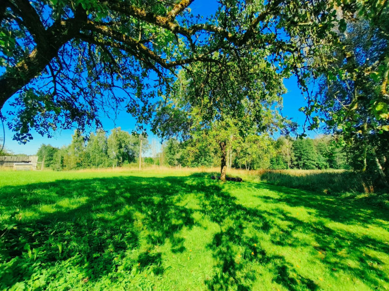 Parduodamas namas Gečionių k., Molėtų r. sav., 60.00 m² ploto 3 kambariai 16