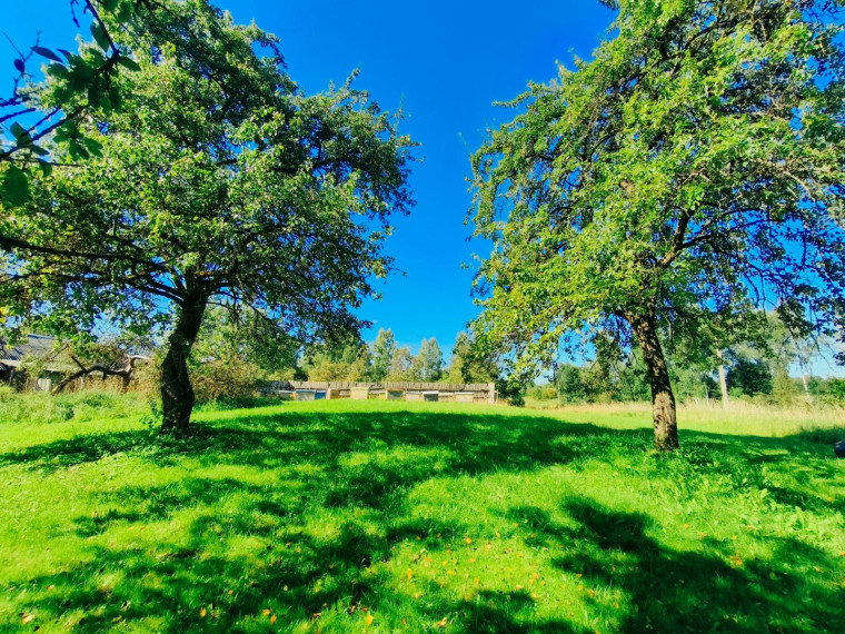 Parduodamas namas Gečionių k., Molėtų r. sav., 60.00 m² ploto 3 kambariai 17
