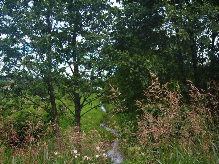 Parduodamas sklypas Romualdo Parfianovičiaus g., Parapijoniškių k., Vilniaus r. sav., 69 a ploto 20