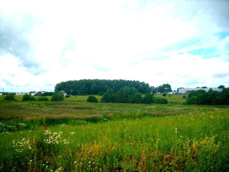 Parduodamas sklypas Romualdo Parfianovičiaus g., Parapijoniškių k., Vilniaus r. sav., 69 a ploto 6