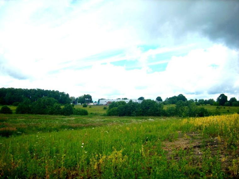 Parduodamas sklypas Romualdo Parfianovičiaus g., Parapijoniškių k., Vilniaus r. sav., 69 a ploto 7