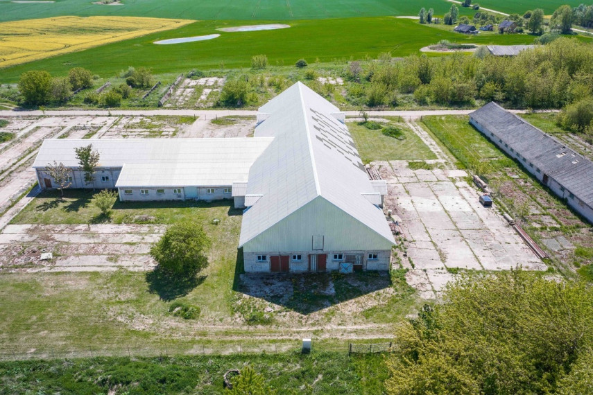 Nuomojamos administracinės, gamybinės, kitos paskirties, sandėliavimo patalpos Pakalnės g., Algirdų k., Ukmergės r. sav., 1000 m2 ploto 2