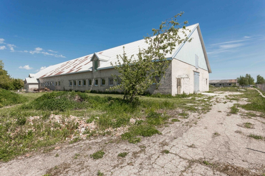 Nuomojamos administracinės, gamybinės, kitos paskirties, sandėliavimo patalpos Pakalnės g., Algirdų k., Ukmergės r. sav., 1000 m2 ploto 23