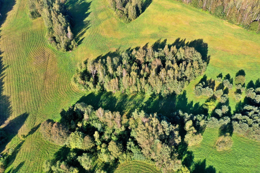 Parduodamas namas Beržų g., Raistiniškių k., Zarasų r. sav., 59 m² ploto 3 kambariai 9