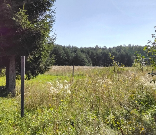 Parduodamas daugiaaukštės gyvenamosios paskirties sklypas Dumpių g., Toleikių k., Klaipėdos r. sav., 157.4 a ploto 5