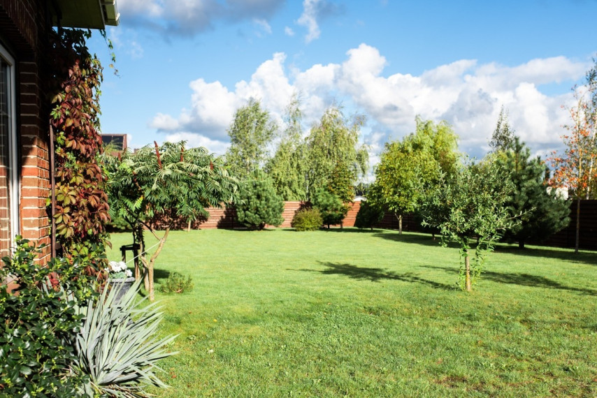 Parduodamas namas Klaipėdos r. sav., Trušelių k., Dvaro , 295.52 m2 ploto, 1 aukštai 42