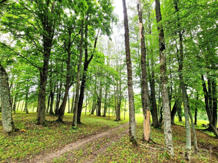 Parduodamas namas/sodyba Utenos raj., Mediniškių k 24