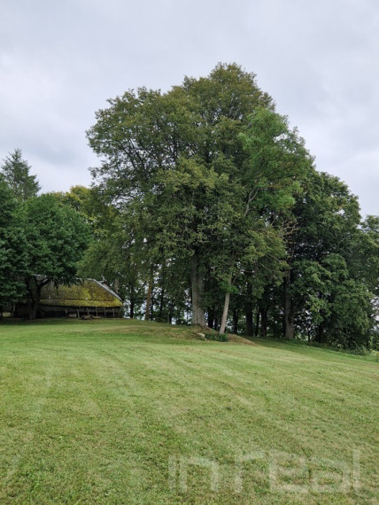 Parduodamas namas/sodyba Utenos raj., Mediniškių k 29