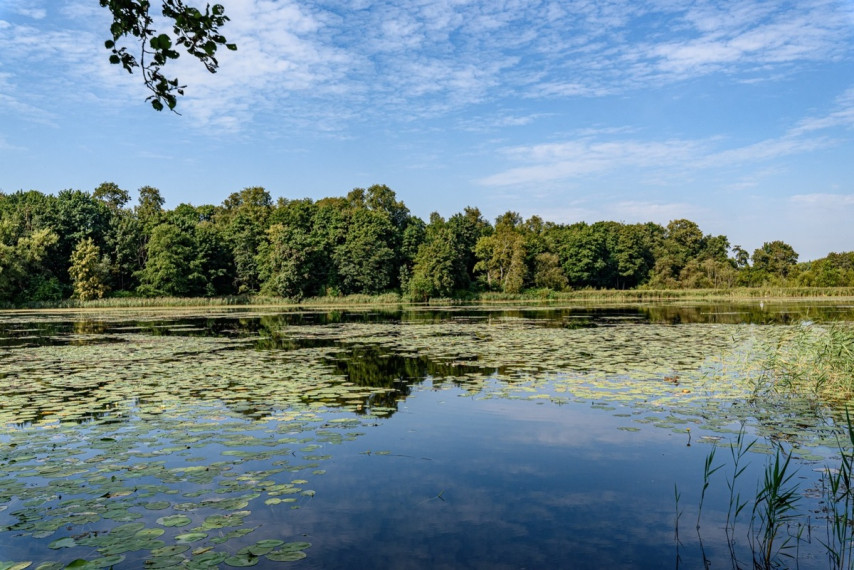 Parduodamas namas Skatulės g., Zujūnai, Vilniaus m., Vilniaus m. sav., 245.17 m2 ploto, 2 aukštai 7