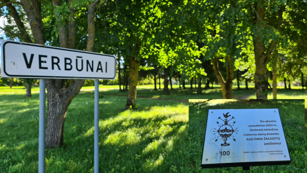Parduodamas namas Lauko g., Verbūnų k., Šiaulių r. sav., 154.00 m² ploto 4 kambariai 10