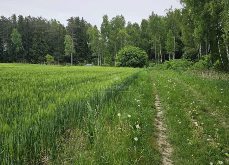 Parduodamas  sklypas Šlapšilės k., Klaipėdos r. sav., 223 a ploto