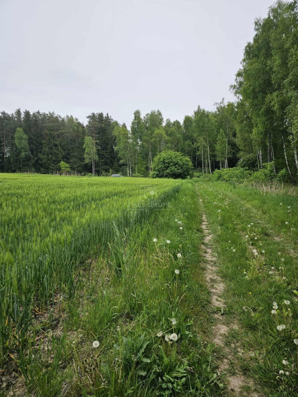 Parduodamas  sklypas Šlapšilės k., Klaipėdos r. sav., 223 a ploto 1