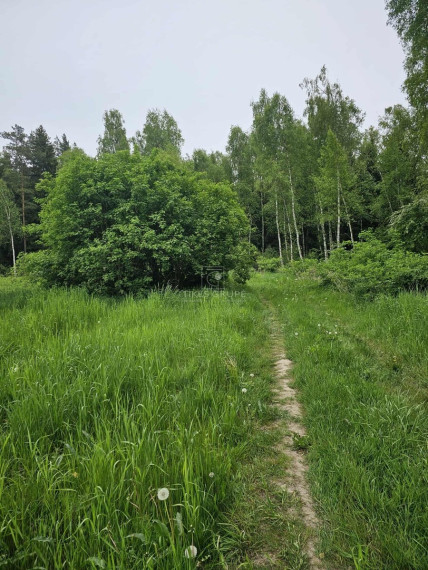 Parduodamas  sklypas Šlapšilės k., Klaipėdos r. sav., 223 a ploto 3