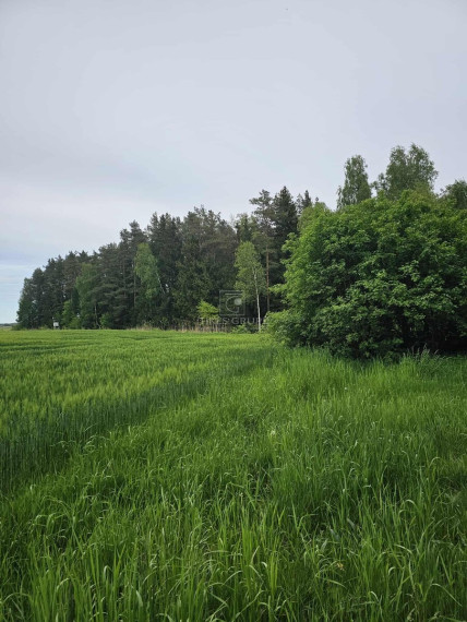 Parduodamas  sklypas Šlapšilės k., Klaipėdos r. sav., 223 a ploto 4