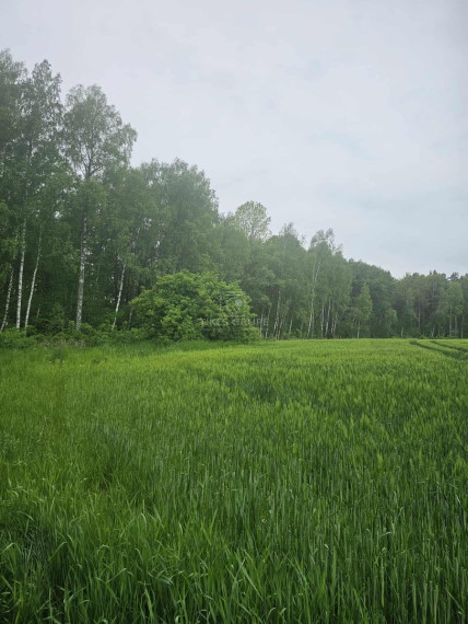 Parduodamas  sklypas Šlapšilės k., Klaipėdos r. sav., 223 a ploto 5