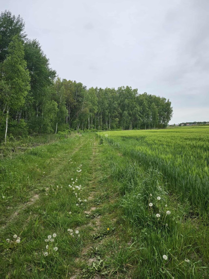 Parduodamas  sklypas Šlapšilės k., Klaipėdos r. sav., 223 a ploto 8