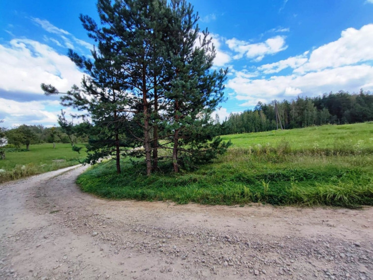 Parduodamas  sklypas Neravų g., Neravų k., Druskininkų sav., 12.04 a ploto 9