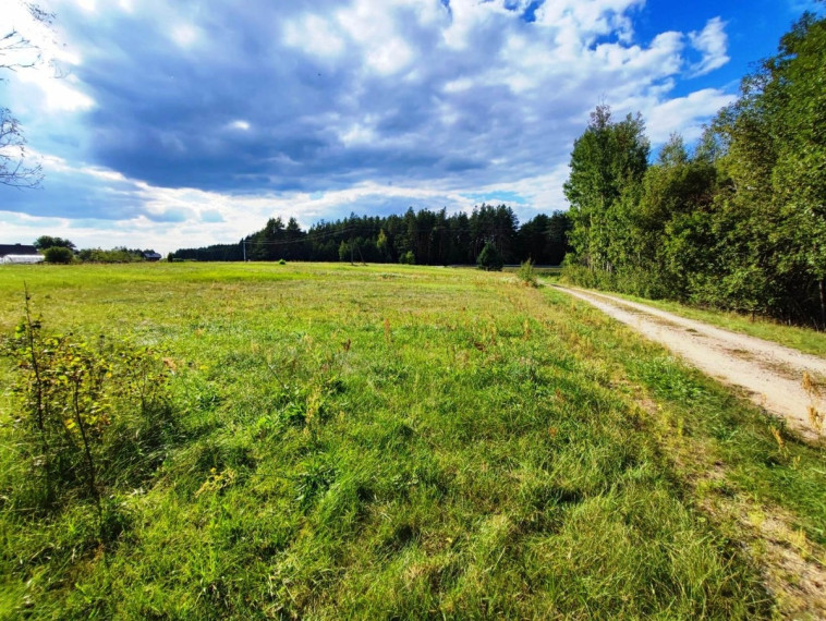 Parduodamas  sklypas Neravų g., Neravų k., Druskininkų sav., 12.04 a ploto 11