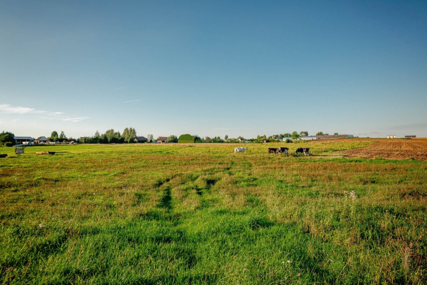 Parduodamas  sklypas Saulėtekio g., Voveriškių k., Šiaulių r. sav., 12 a ploto 12