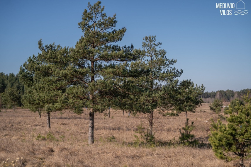 Parduodamas kitos paskirties sklypas Luknos g., Senojo Tarpupio k., Trakų r. sav., 75 a ploto 23