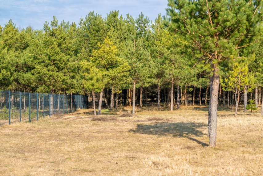 Parduodamas kitos paskirties sklypas Luknos g., Senojo Tarpupio k., Trakų r. sav., 75 a ploto 8