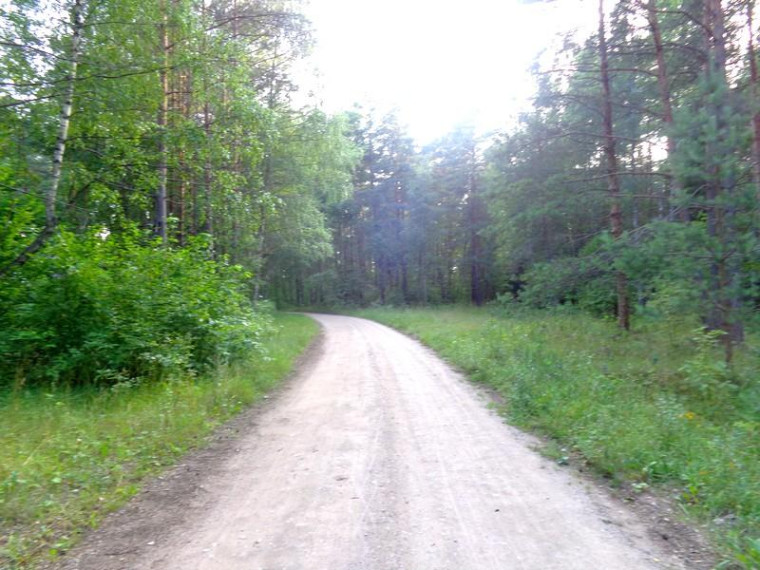 Parduodamas namas Ežerų g., Kirneilės k., Molėtų r. sav., 151.75 m² ploto 5 kambariai 11