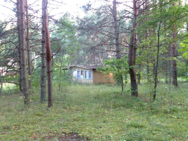 Parduodamas namas Ežerų g., Kirneilės k., Molėtų r. sav., 151.75 m² ploto 5 kambariai 13