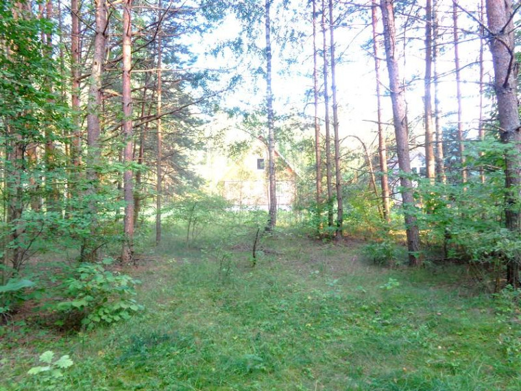 Parduodamas namas Ežerų g., Kirneilės k., Molėtų r. sav., 151.75 m² ploto 5 kambariai 18