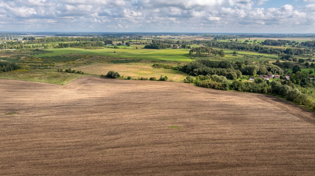 Parduodamas  sklypas Žardupės g., Klaipėdos m., Klaipėdos m. sav., 80 a ploto 8