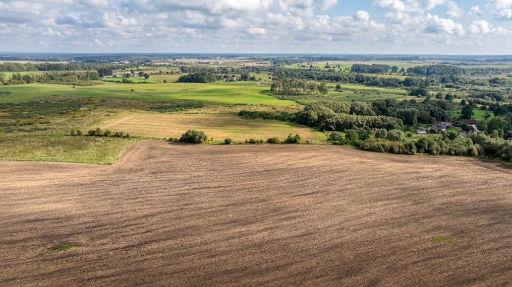 Parduodamas  sklypas Žardupės g., Klaipėdos m., Klaipėdos m. sav., 80 a ploto 9