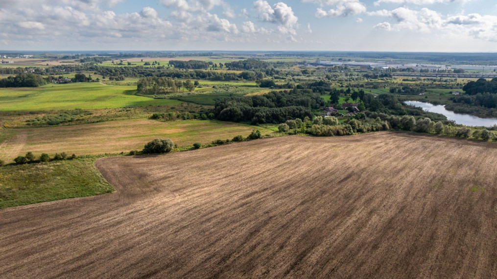Parduodamas  sklypas Žardupės g., Klaipėdos m., Klaipėdos m. sav., 80 a ploto 10