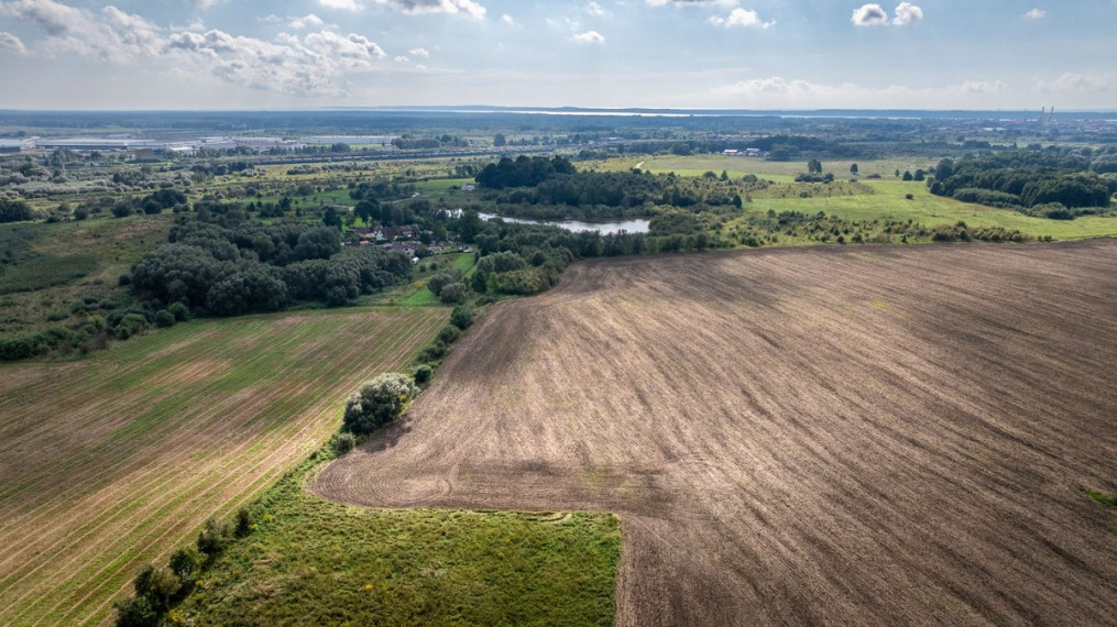Parduodamas  sklypas Žardupės g., Klaipėdos m., Klaipėdos m. sav., 80 a ploto 12
