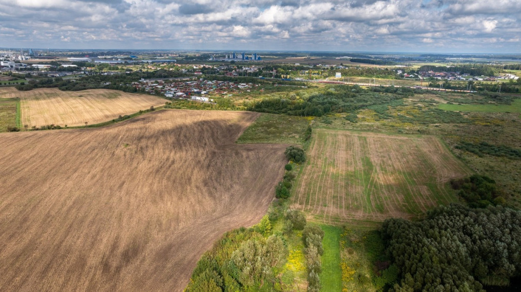 Parduodamas  sklypas Žardupės g., Klaipėdos m., Klaipėdos m. sav., 80 a ploto 16