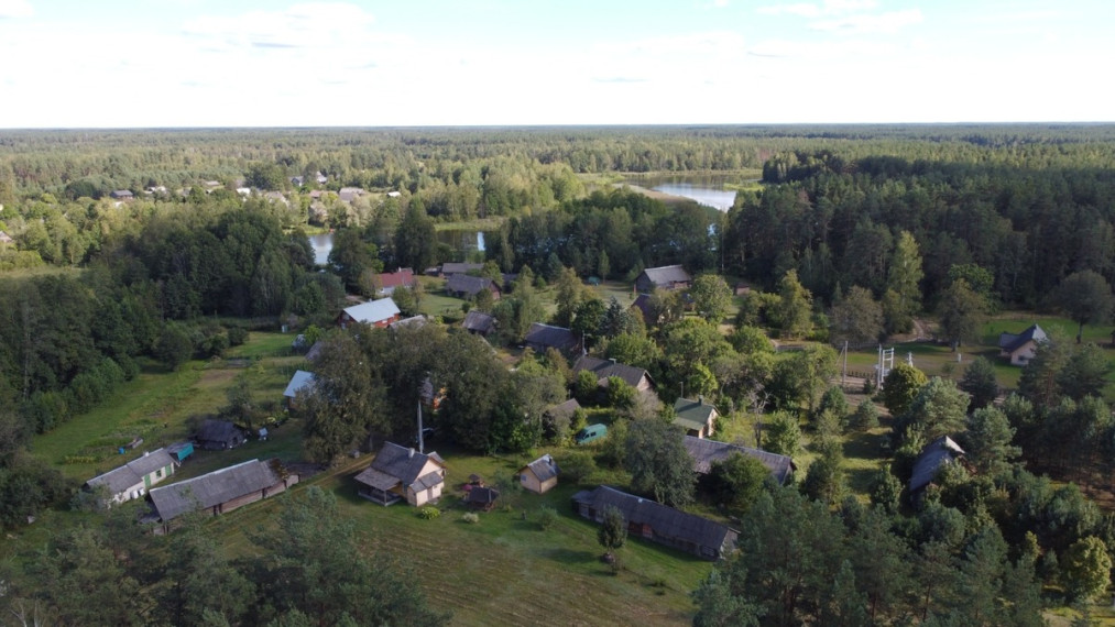 Parduodamas namas Žirmūnų g., Ašašninkų k., Varėnos r. sav., 51 m2 ploto 16