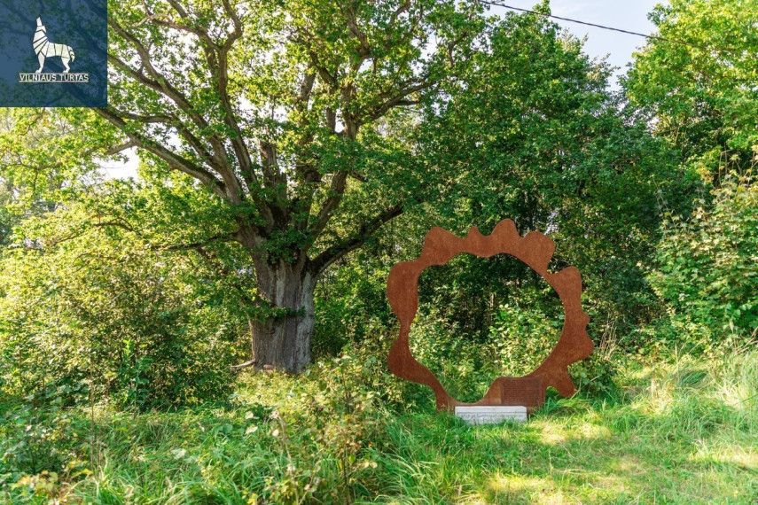 Parduodamas namas Plačioji g., Žodiškių k., Vilniaus r. sav., 198 m2 ploto, 2 aukštai 38