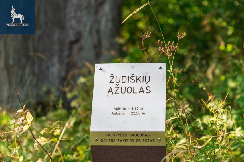 Parduodamas namas Plačioji g., Žodiškių k., Vilniaus r. sav., 198 m2 ploto, 2 aukštai 39