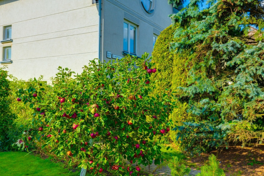 Parduodamas namas S. Nėries g., Mažeikių m., Mažeikių r. sav., 364.06 m2 ploto, 2 aukštai 6