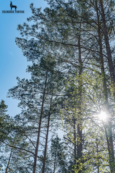 Parduodamas namas Anglininkų k., Trakų r. sav., 75.6 m2 ploto, 1 aukštai 30