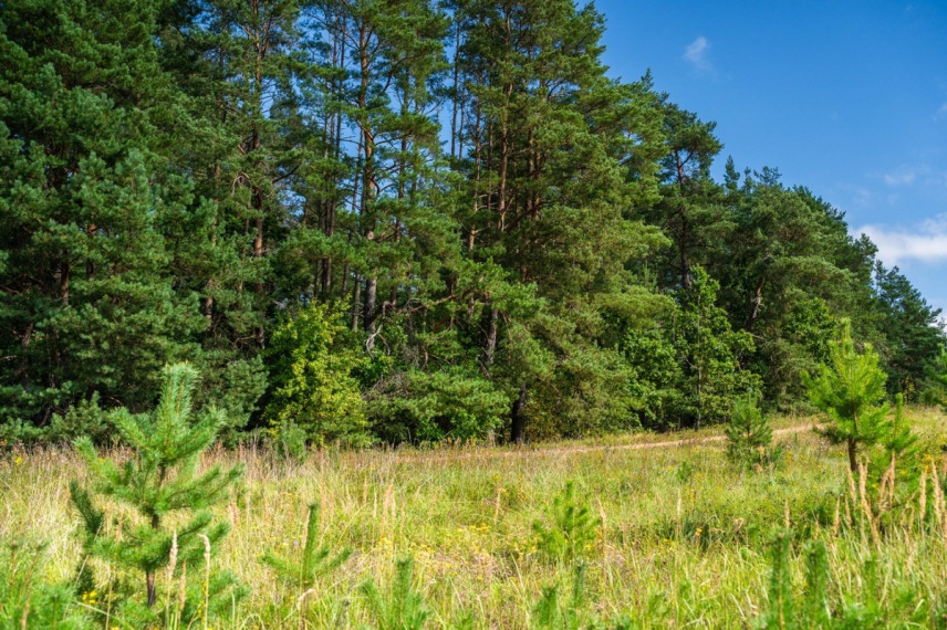 Nuomojamas namas Gaurių g., Paneriai, Vilniaus m., Vilniaus m. sav., 79.79 m2 ploto, 1 aukštai 24