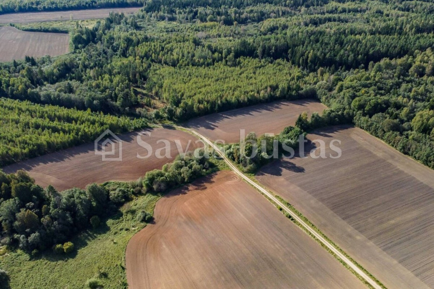 Parduodamas  sklypas Valaičių k., Kelmės r. sav., 650 a ploto 4
