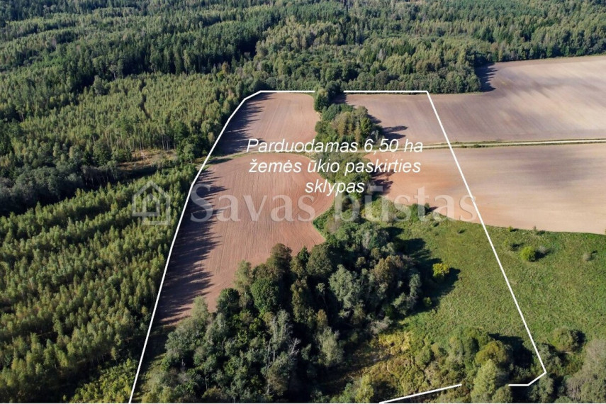 Parduodamas  sklypas Valaičių k., Kelmės r. sav., 650 a ploto 3